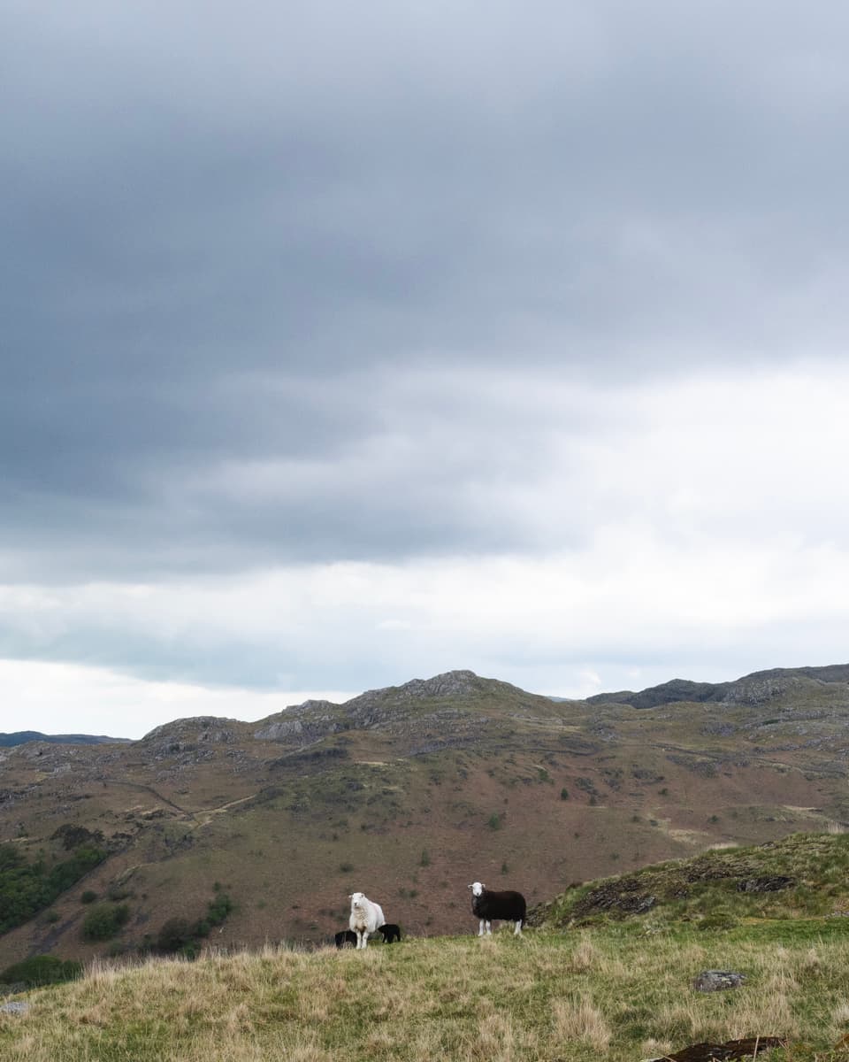 Eskdale valley
